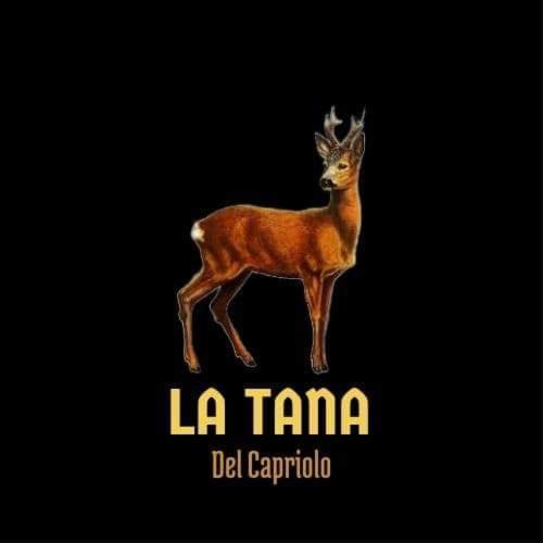 Ferienwohnung La Tana Del Capriolo Prati di Tivo Exterior foto
